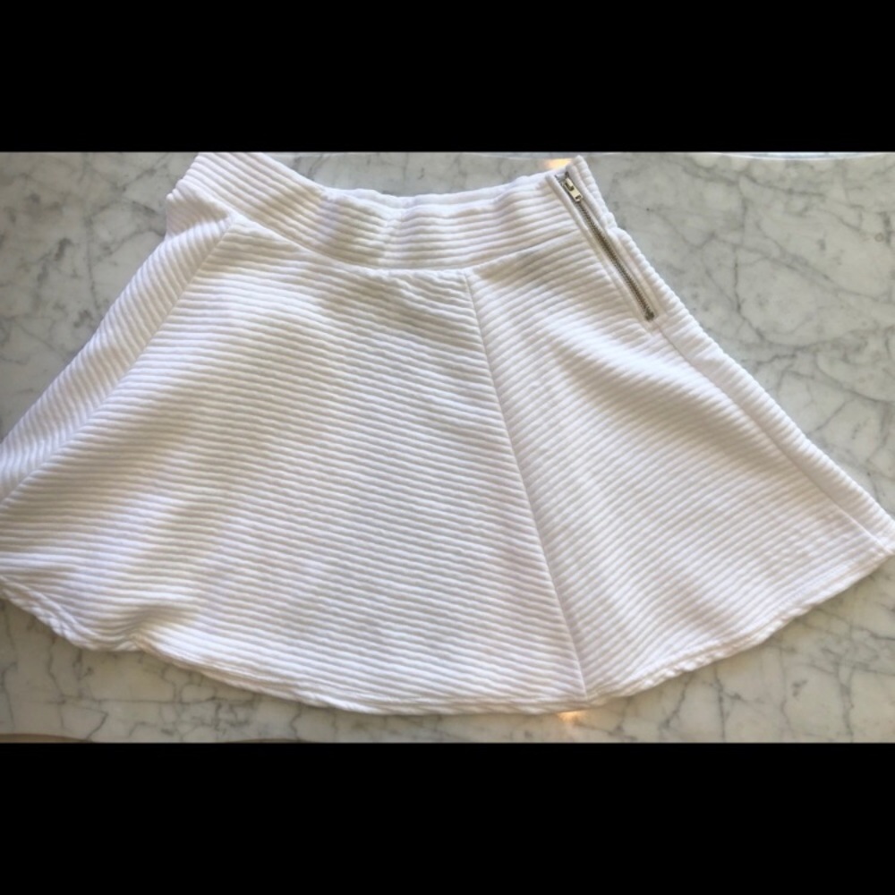 H&M Skater Skirt